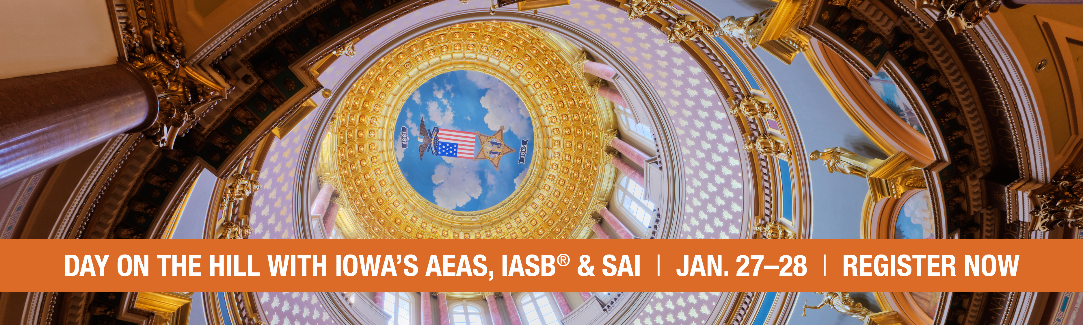 Join us for our annual Day on the Hill! Includes workshop and dinner on January 27, followed by training and a visit to the Iowa State Capitol on January 28. Register now!